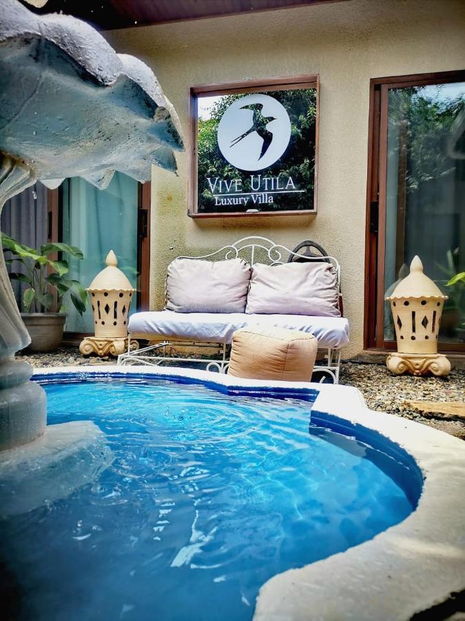 Vive Utila - Bed & Breakfast Bagian luar foto