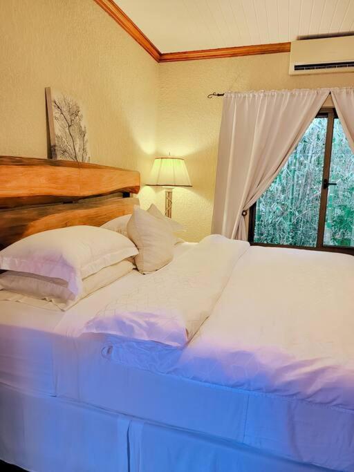 Vive Utila - Bed & Breakfast Bagian luar foto