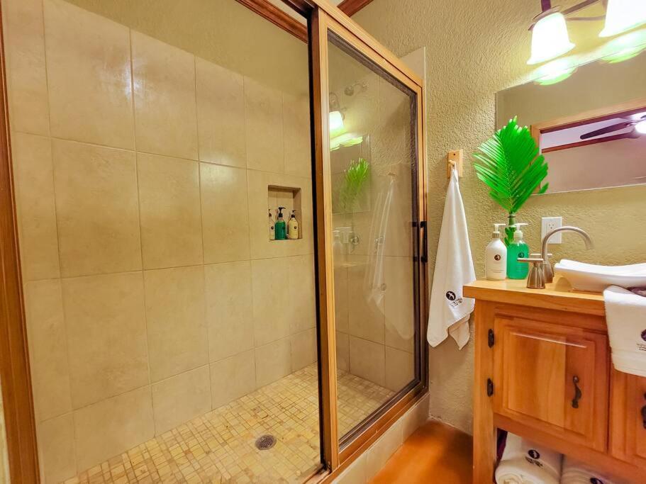 Vive Utila - Bed & Breakfast Bagian luar foto