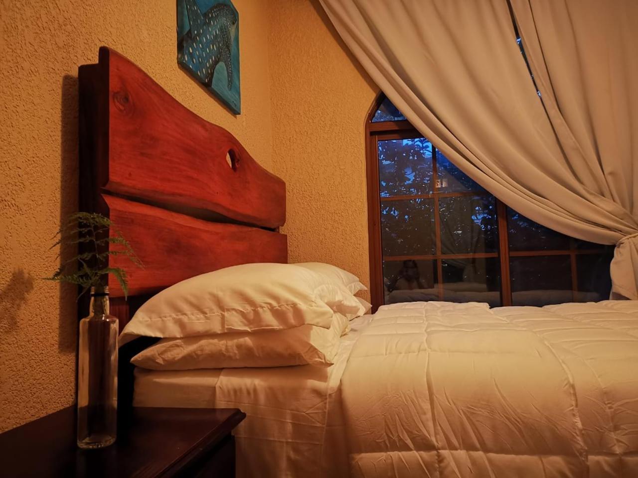 Vive Utila - Bed & Breakfast Ruang foto