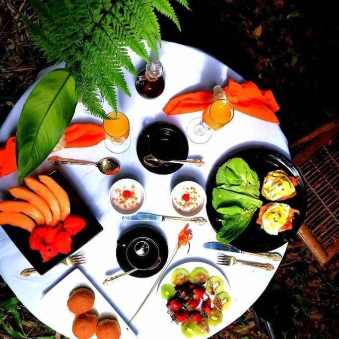 Vive Utila - Bed & Breakfast Bagian luar foto
